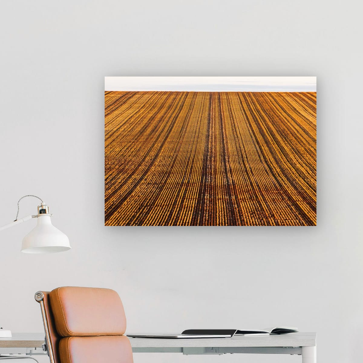 Harvest Lines