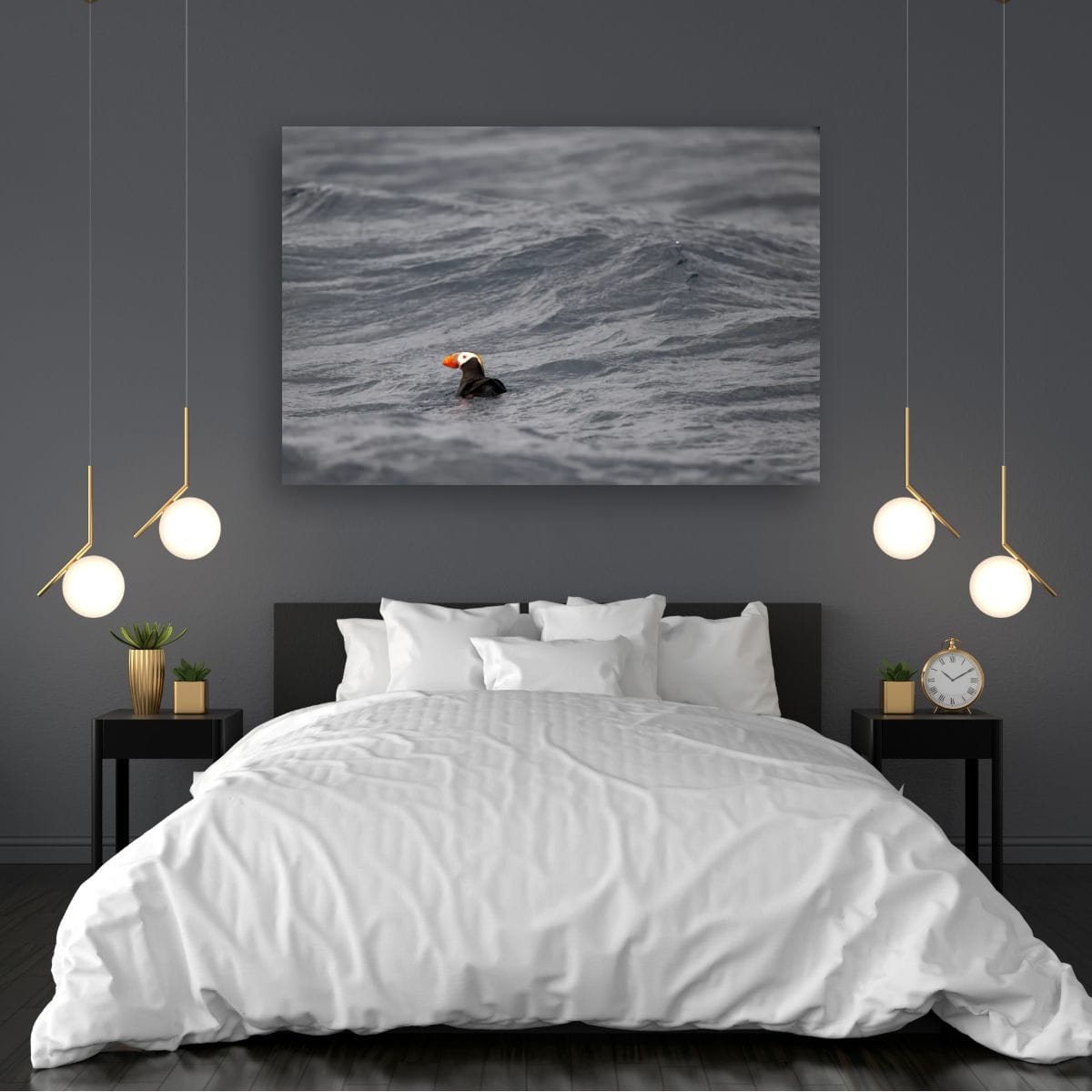 Paddling: Tufted Puffin