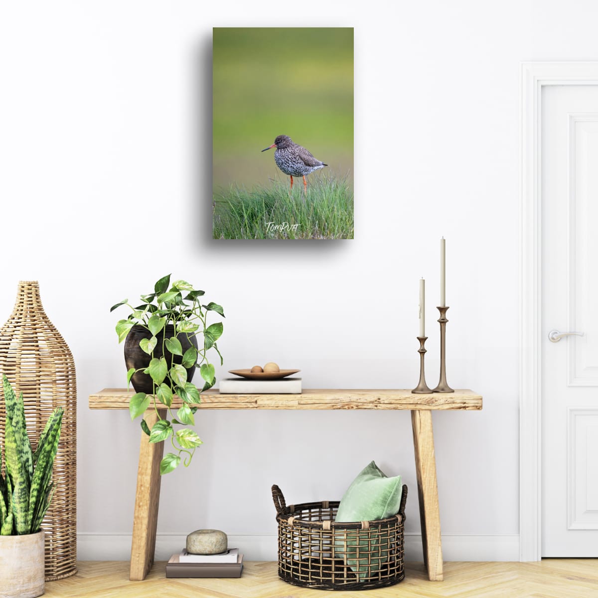 Redshank Watcher