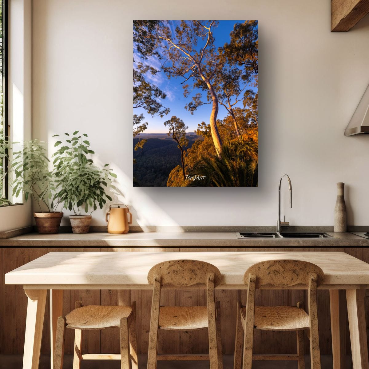 The Light of Carnarvon Gorge