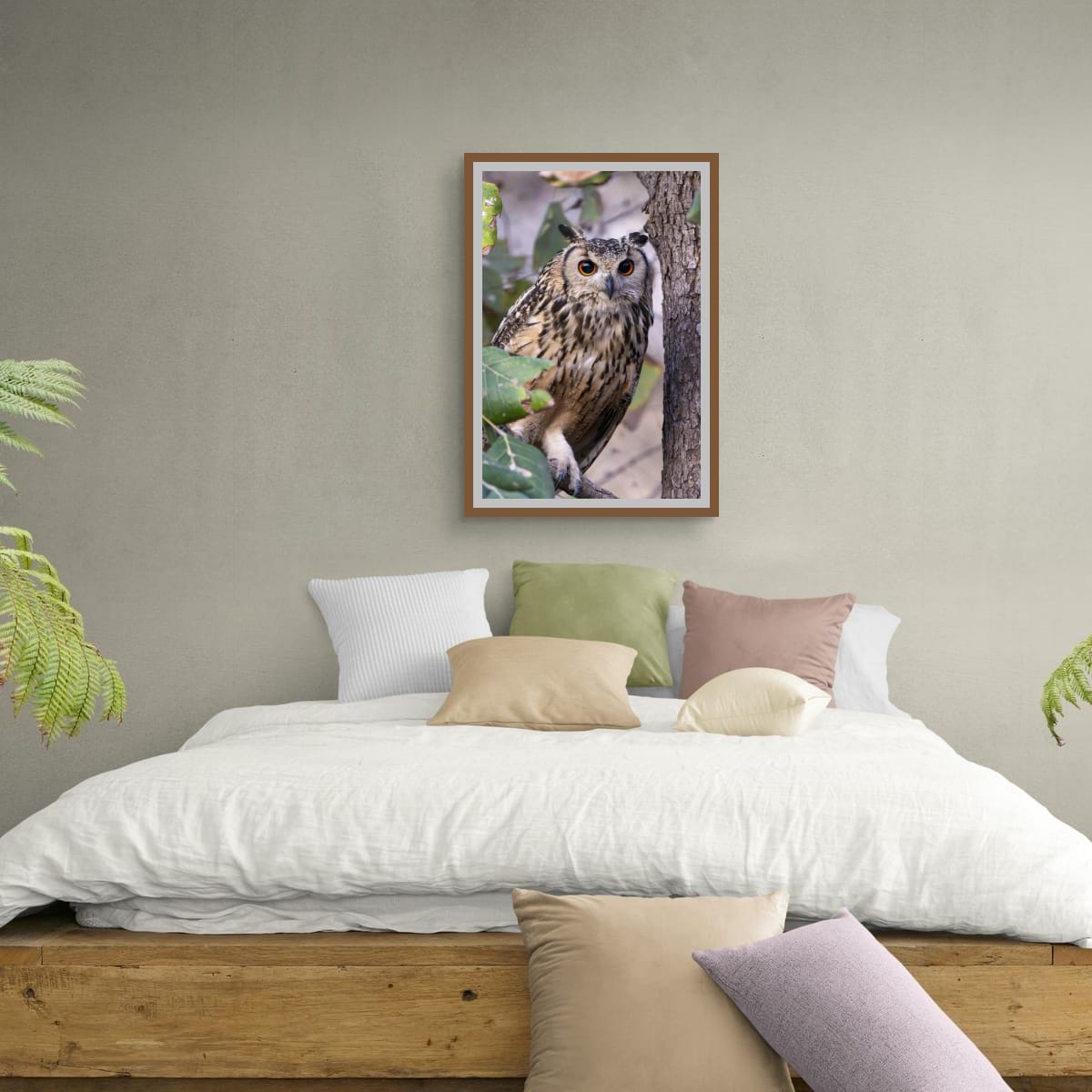 Gaze of the Indian Eagle-Owl