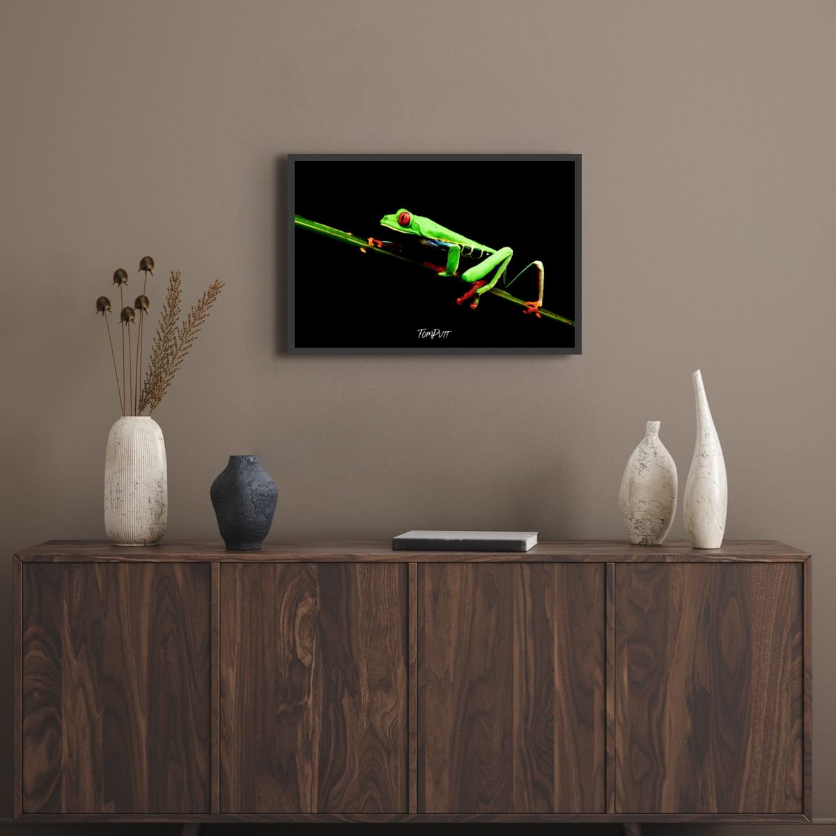 Red-eyed Tree Frog #4, Costa Rica