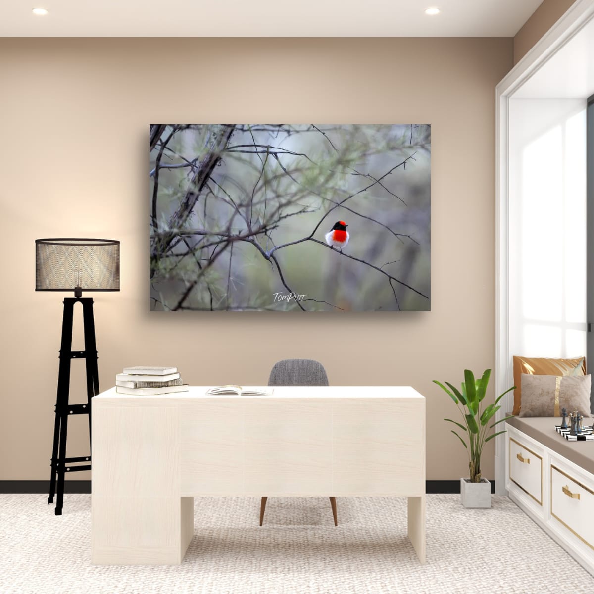 Perched and Ready. Red-Capped Robin
