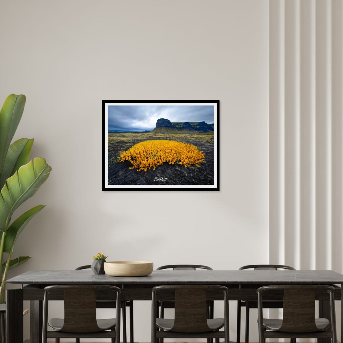 Golden Glow, Iceland