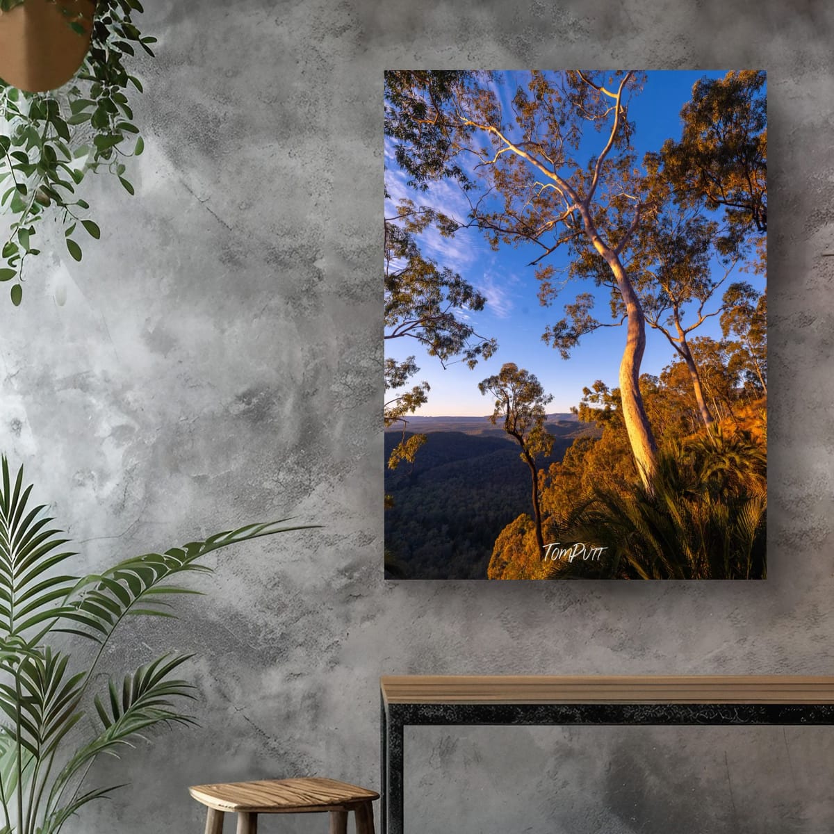 The Light of Carnarvon Gorge
