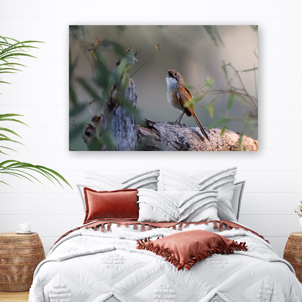 Song of the Opalton Grasswren