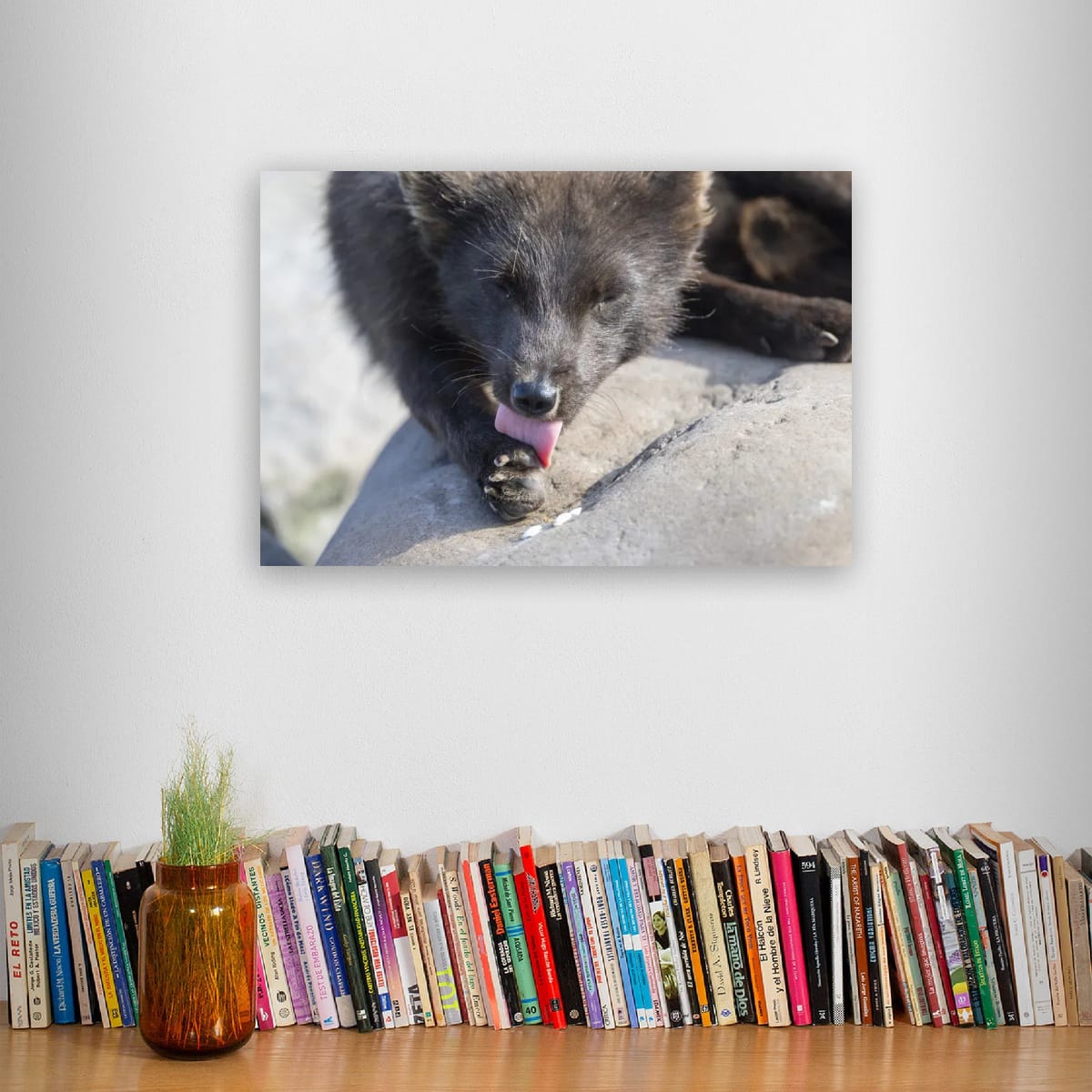 A Gentle Moment: Arctic Fox