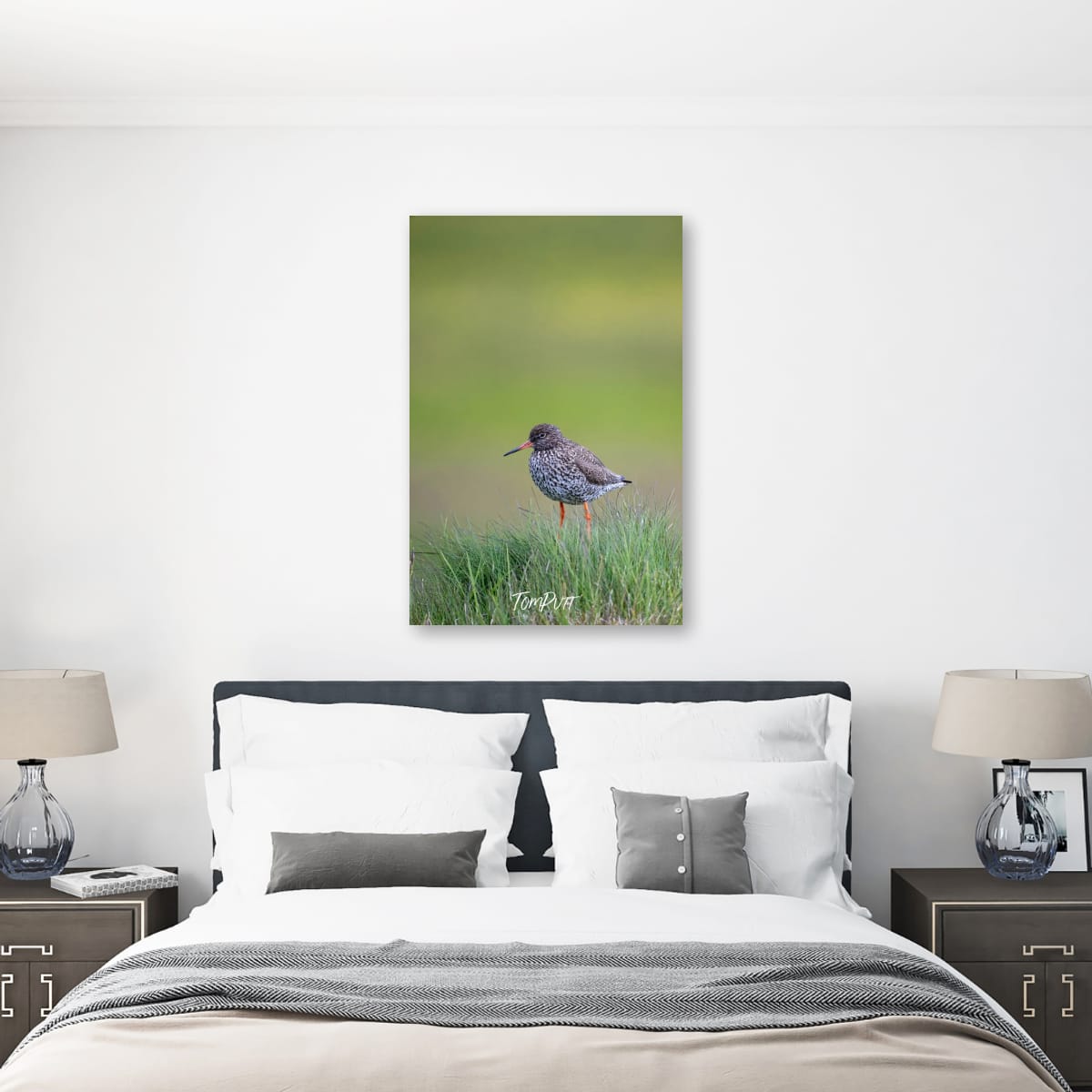 Redshank Watcher