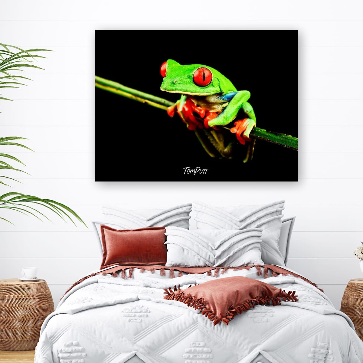 Red-eyed Tree Frog #3, Costa Rica