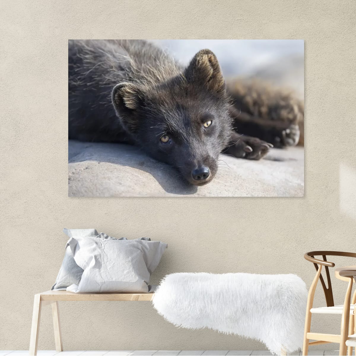 An Arctic Fox at Rest