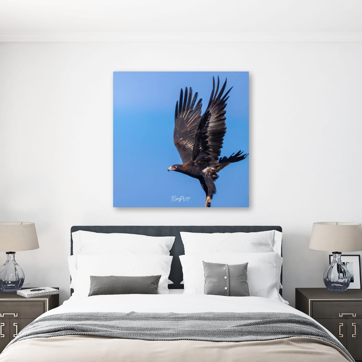 Wedge-Tailed Eagle Dance