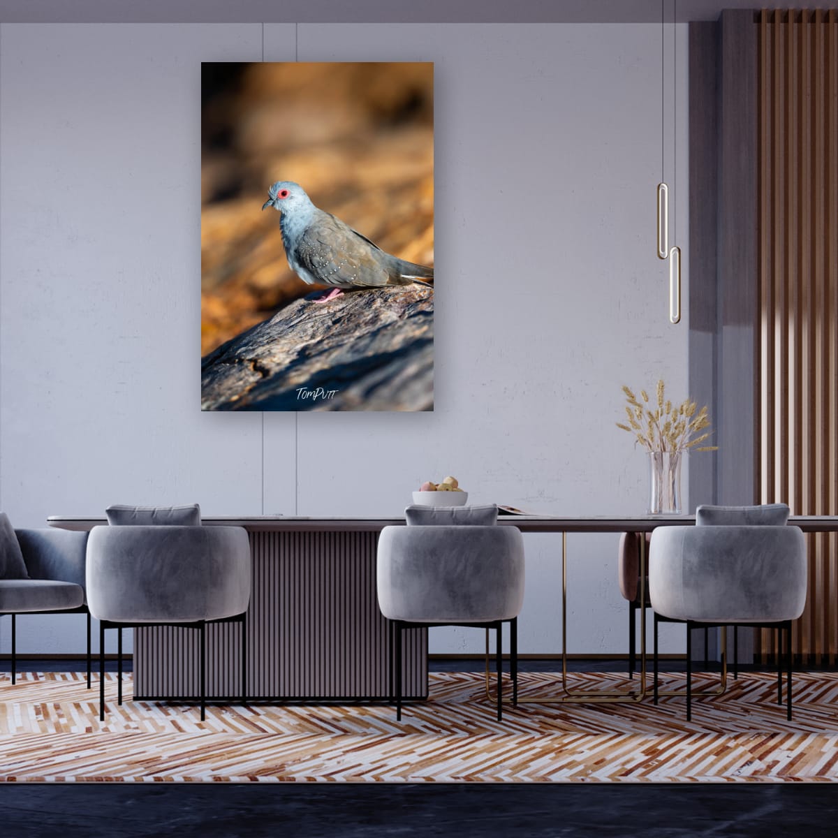 Diamond Dove, Channel Country