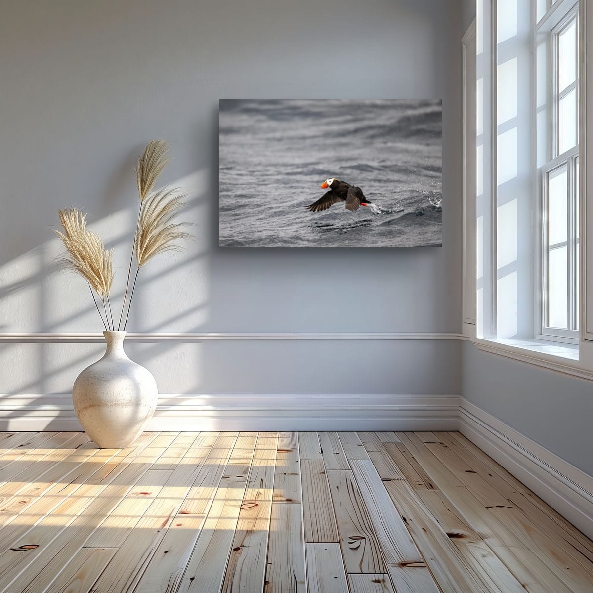 Water Launch: Tufted Puffin