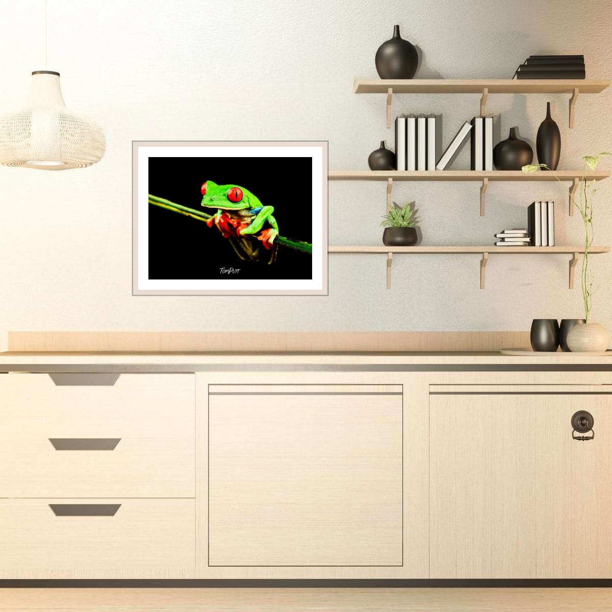 Red-eyed Tree Frog #3, Costa Rica