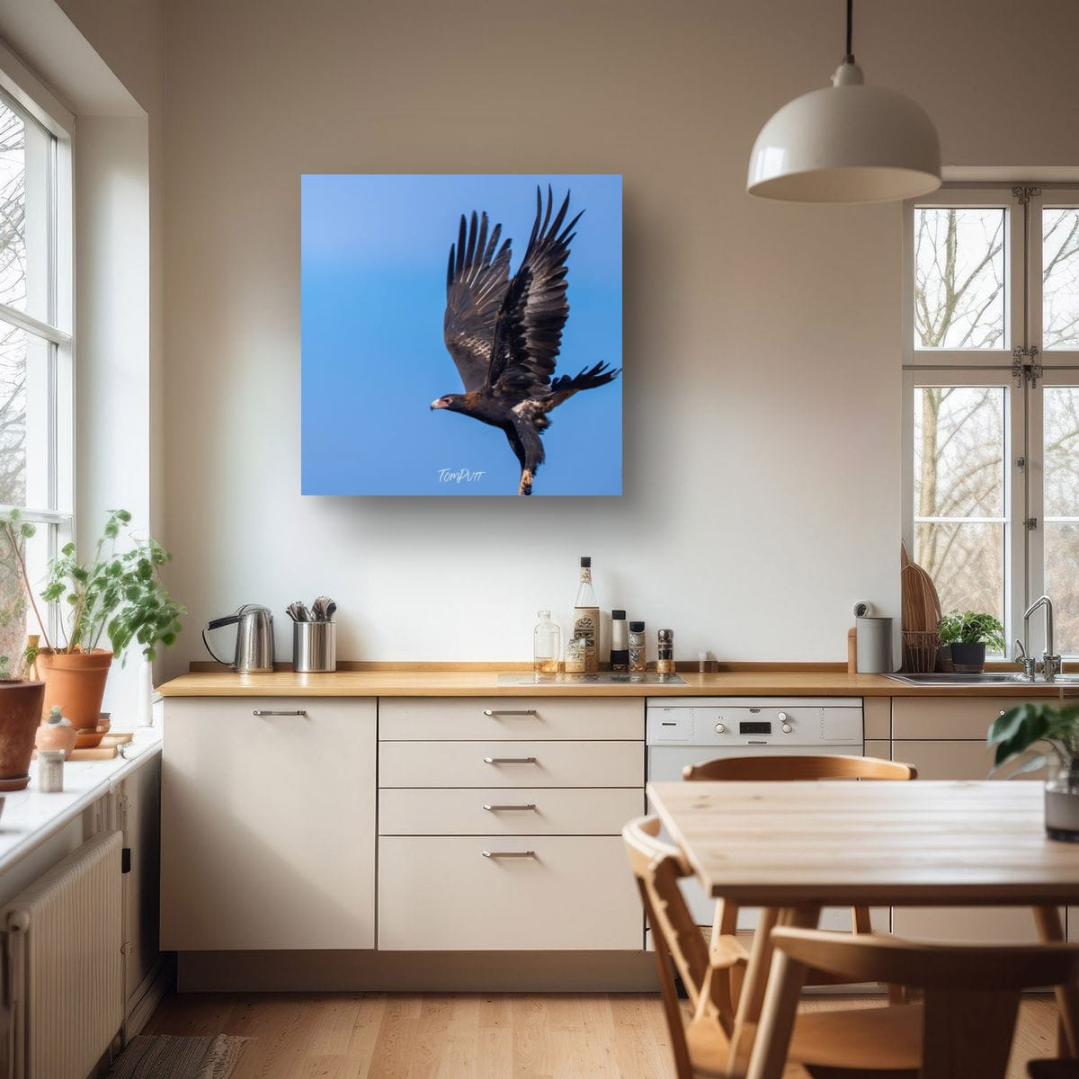 Wedge-Tailed Eagle Dance