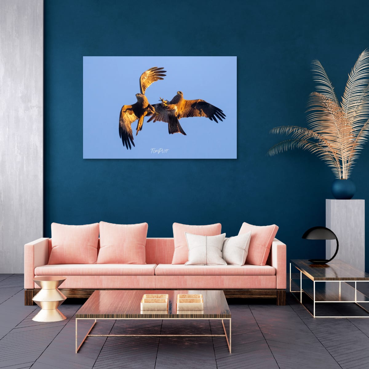 Sky Fight, Black Kite