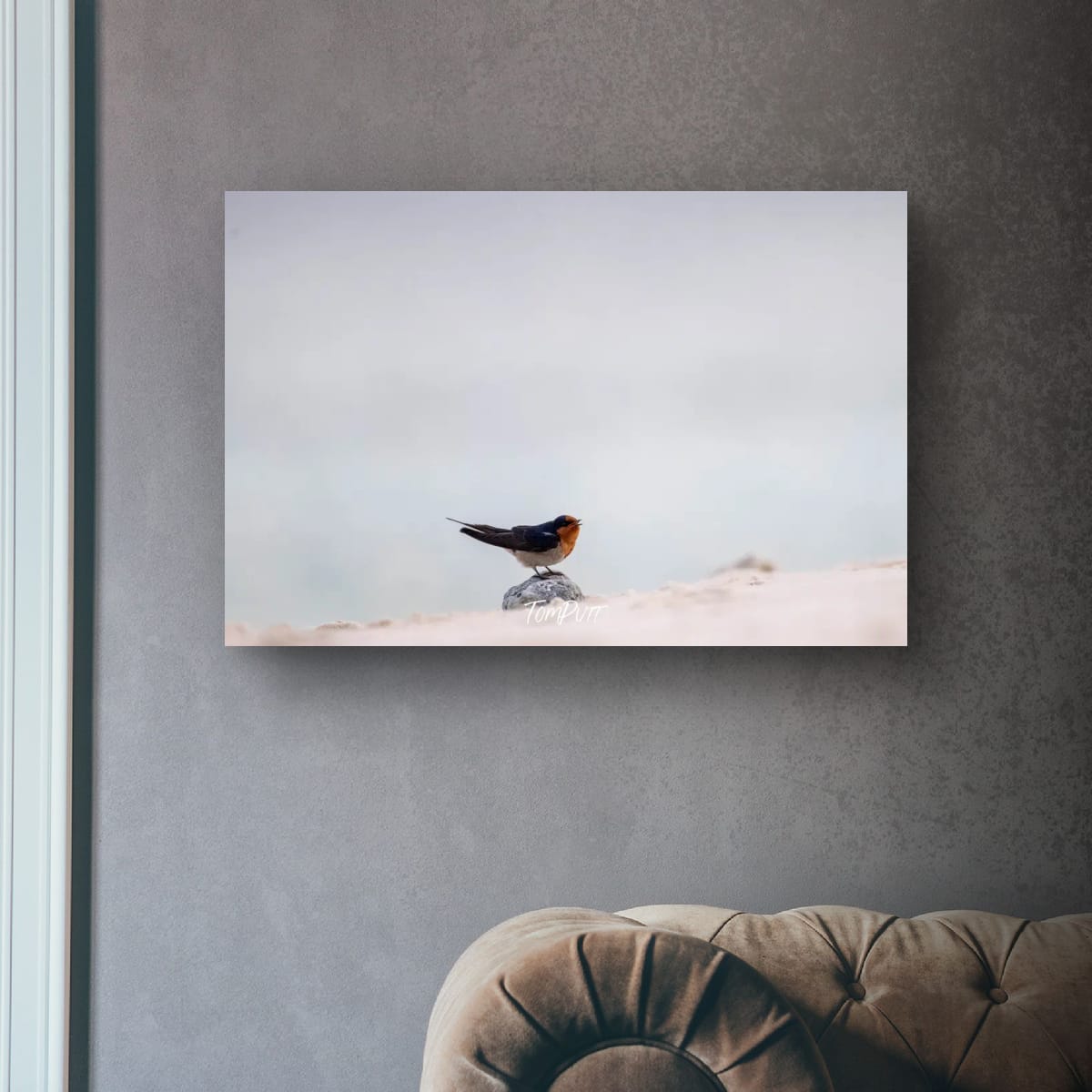 Heron Island Soloist