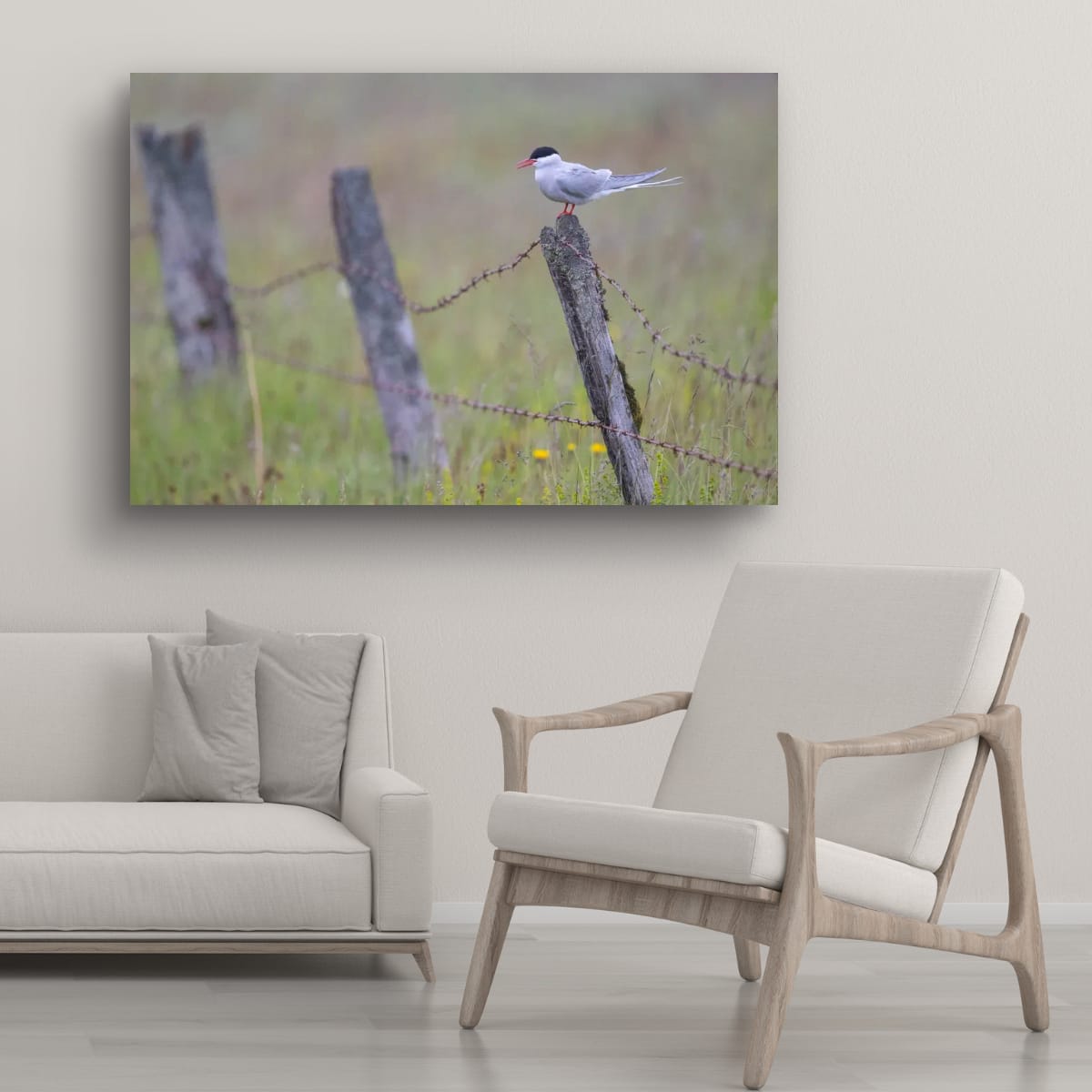 Quiet Perch. Arctic Tern