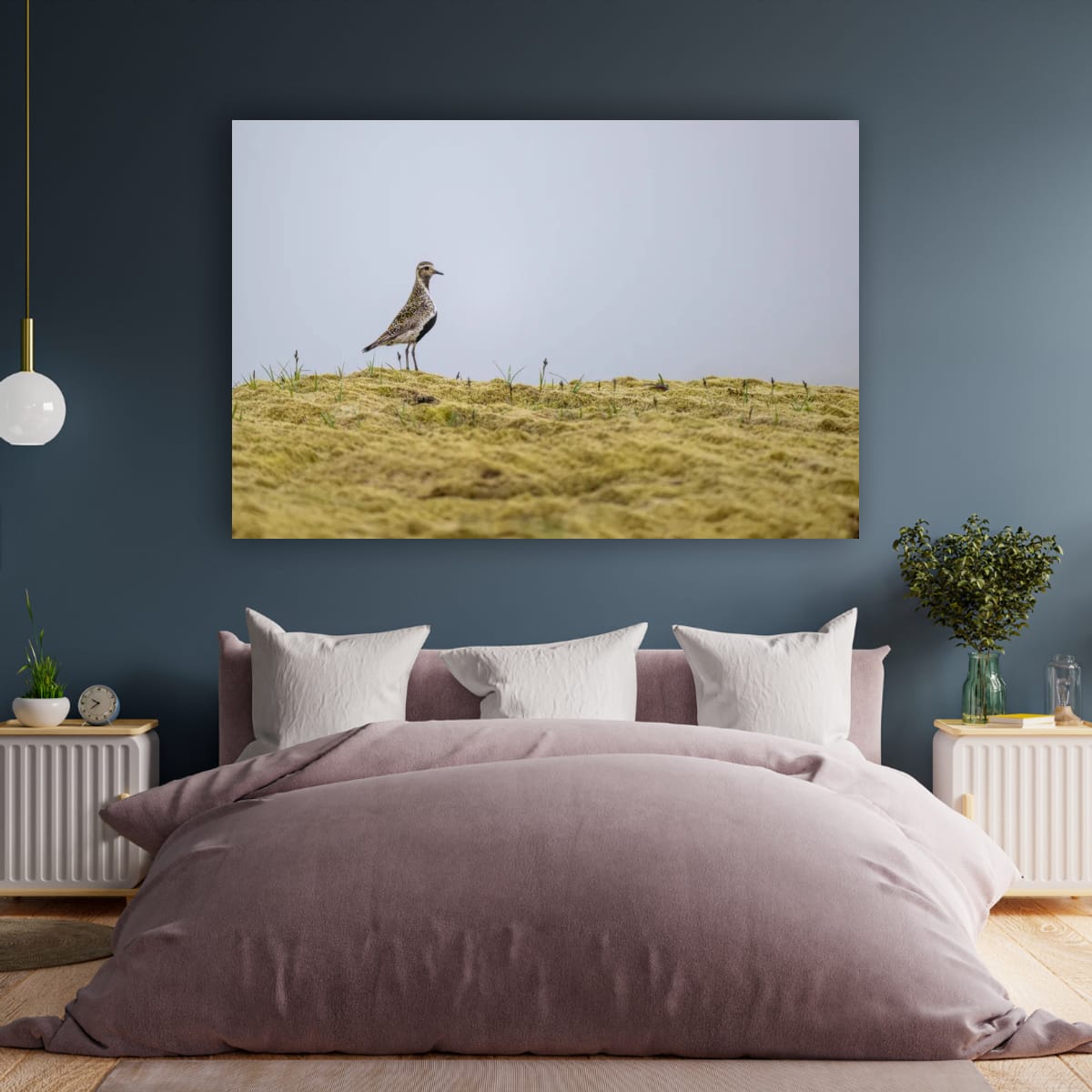 Vigilant Golden Plover