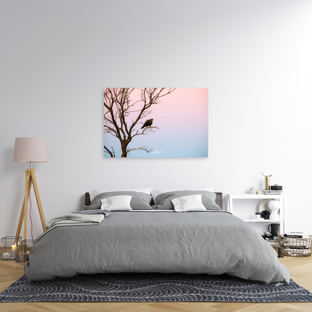 Black Falcon in a Pastel Sky