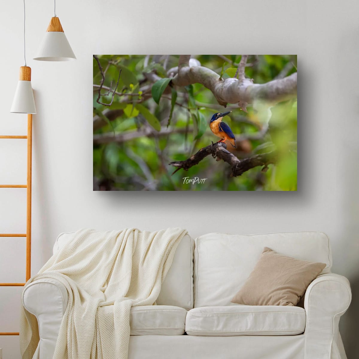 On Alert, Azure Kingfisher
