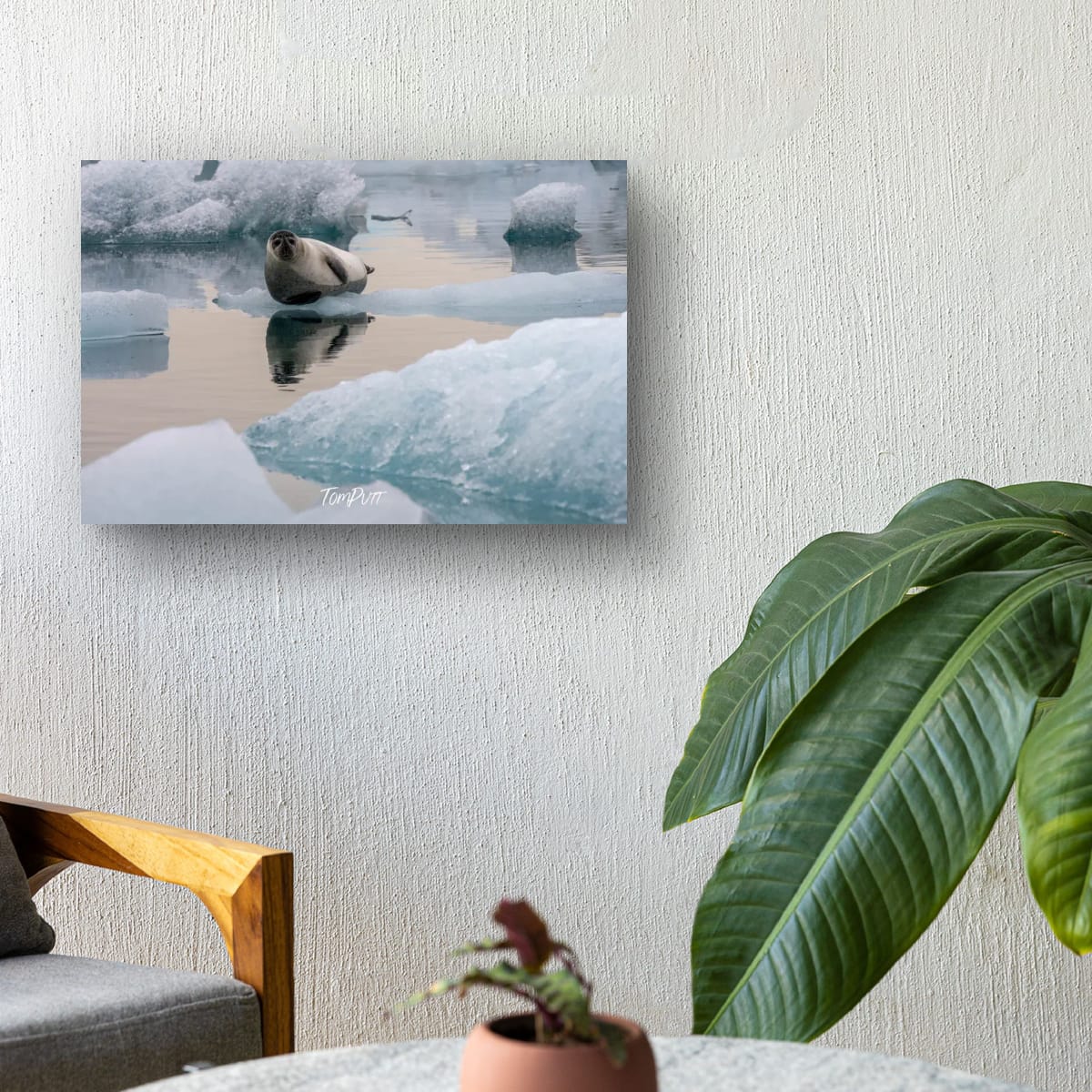 Chill Vibes, Iceland