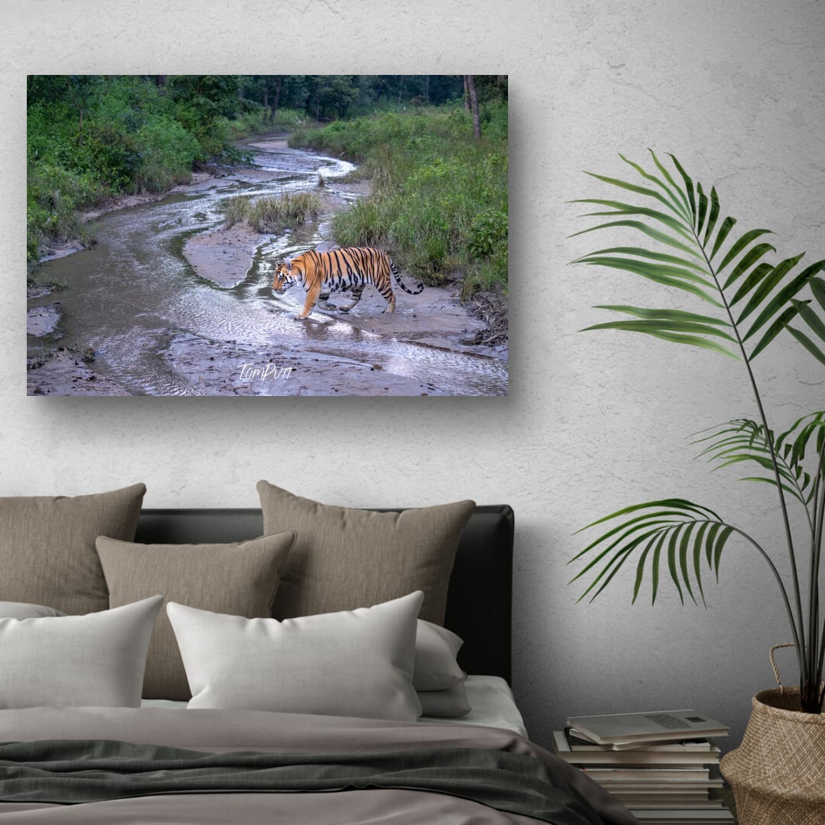 Tiger Crossing, India