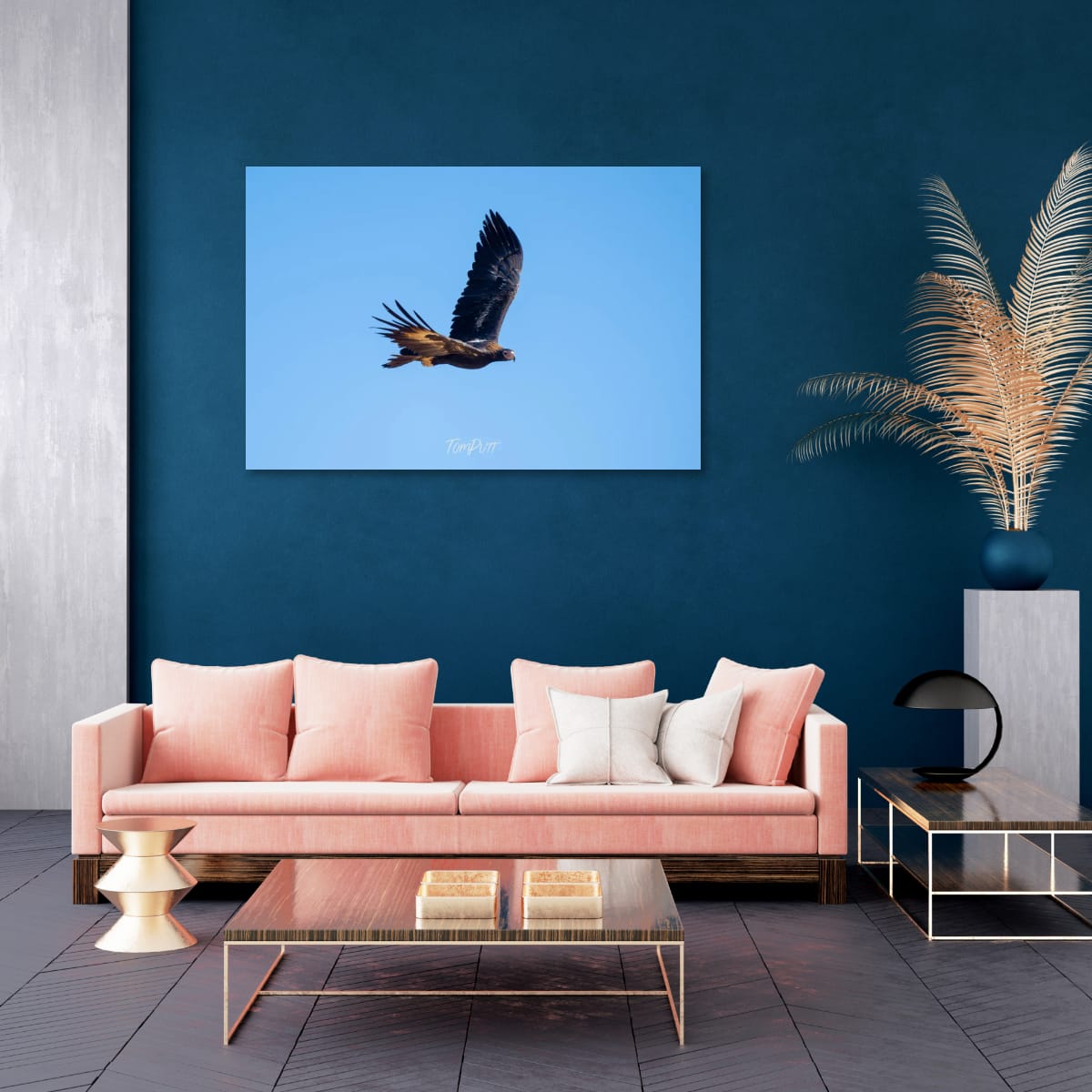 Wedge-Tailed Eagle in Flight