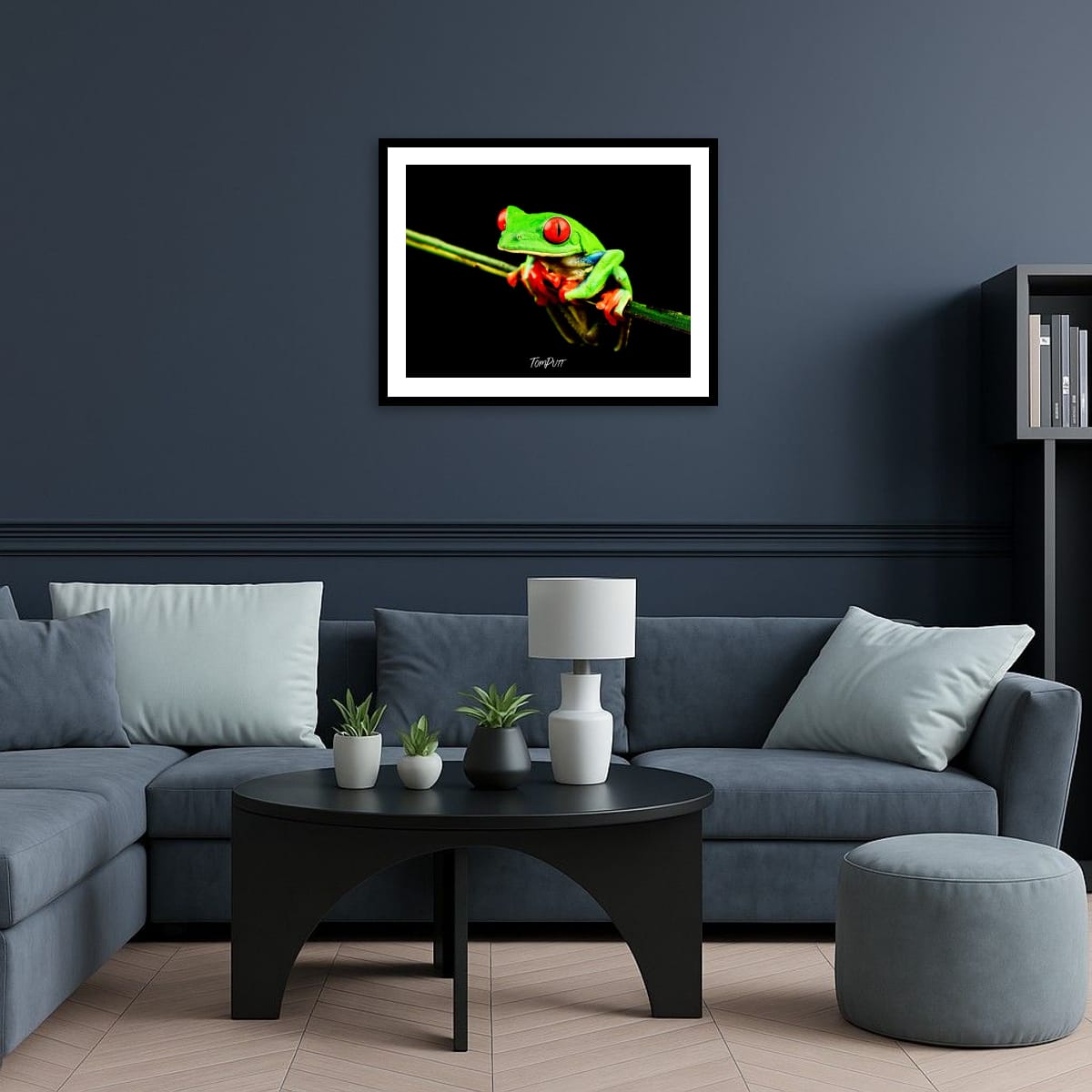 Red-eyed Tree Frog #3, Costa Rica