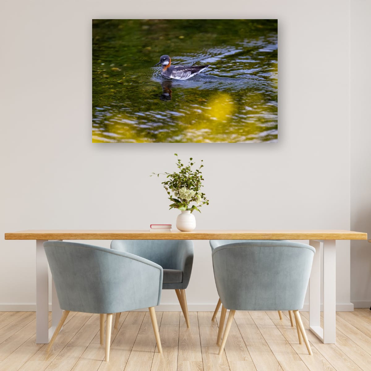 Red-Necked Phalarope