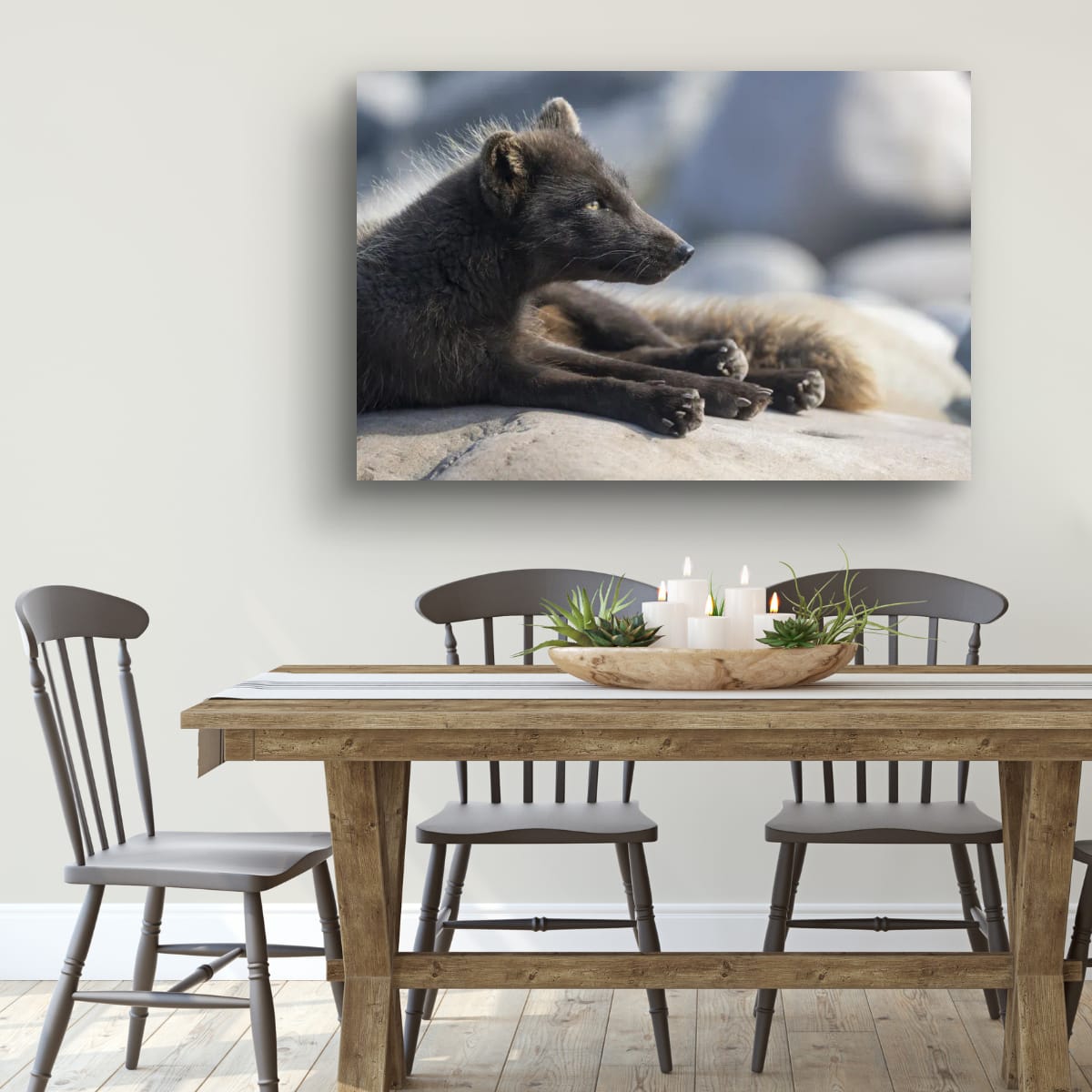 A Quiet Morning: Arctic Fox