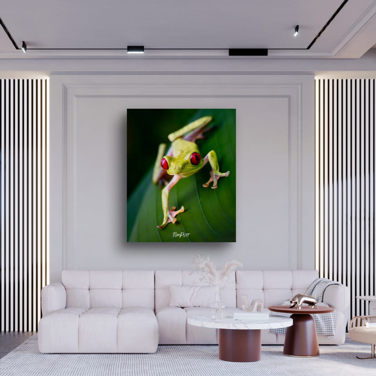 Red-eyed Tree Frog #2, Costa Rica