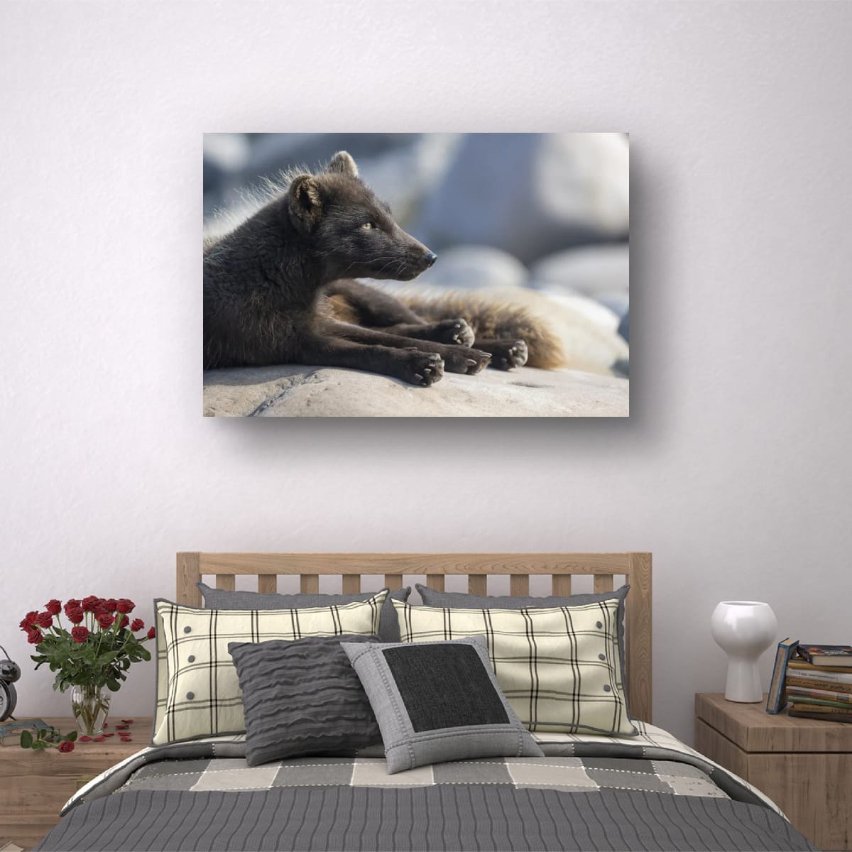 A Quiet Morning: Arctic Fox