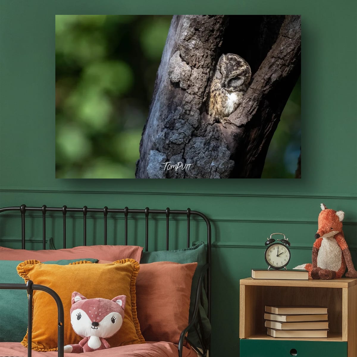 Indian Scops Owl at Rest