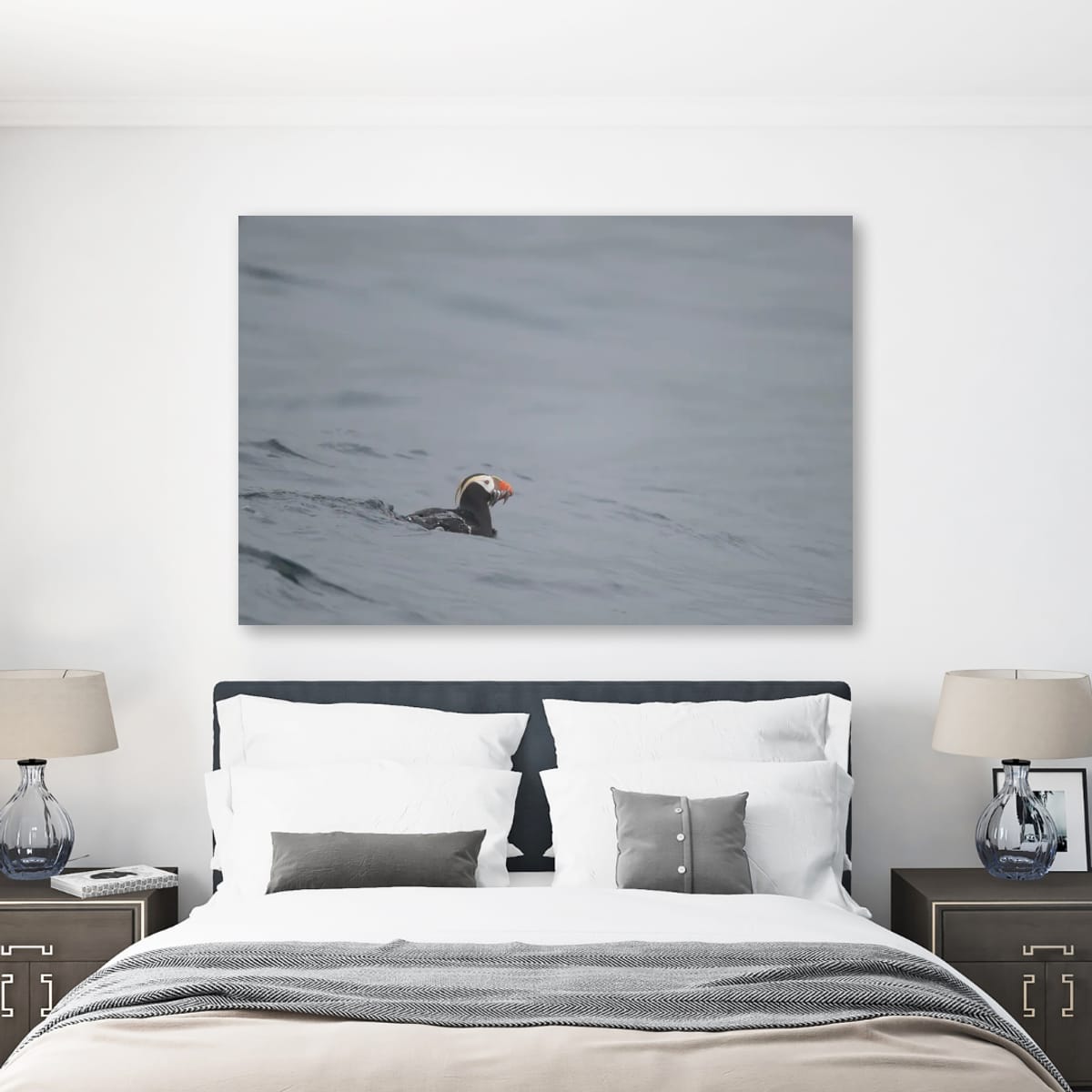 The Catch: Tufted Puffin