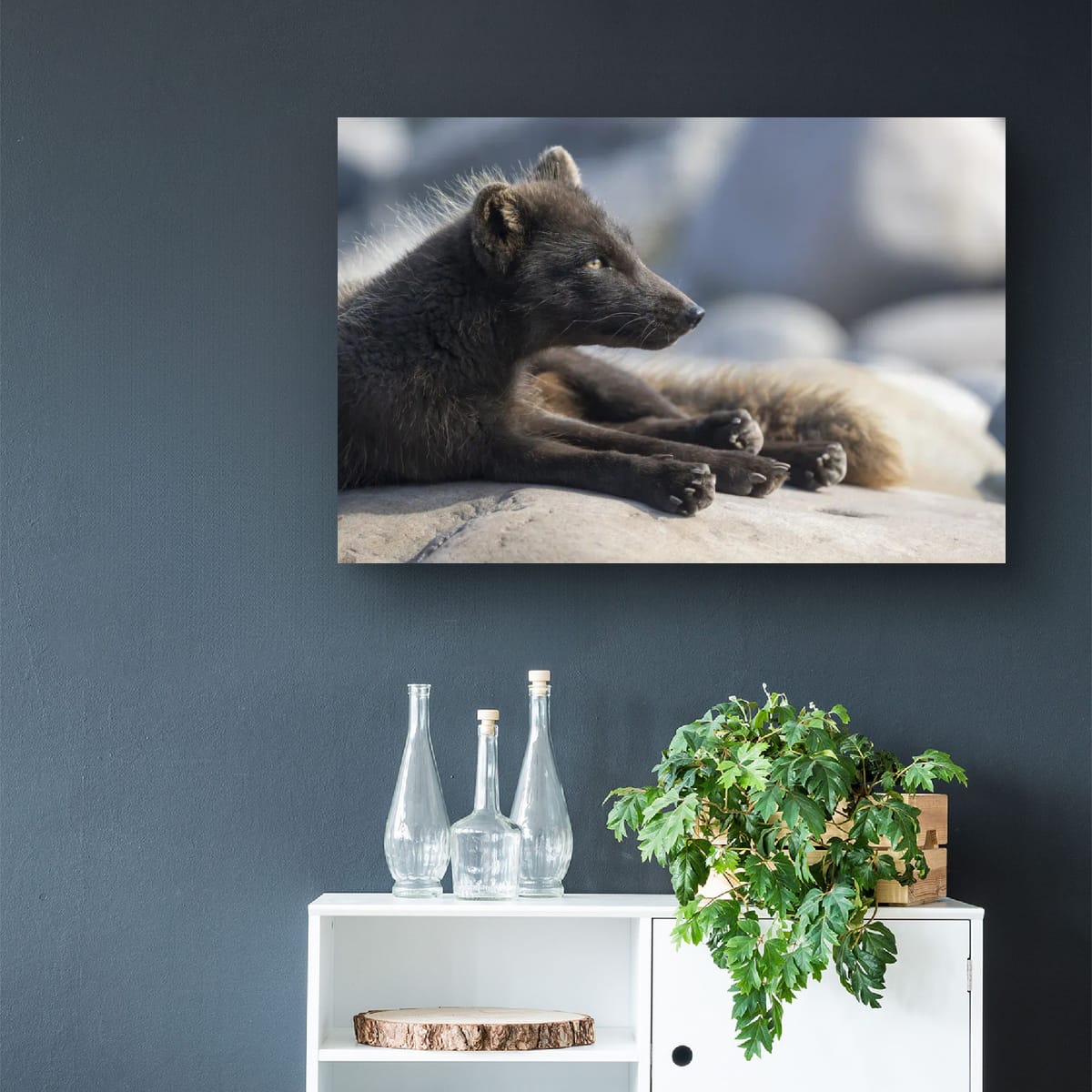 A Quiet Morning: Arctic Fox