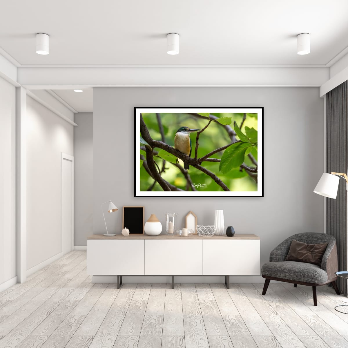 Sacred Kingfisher: Heron Island