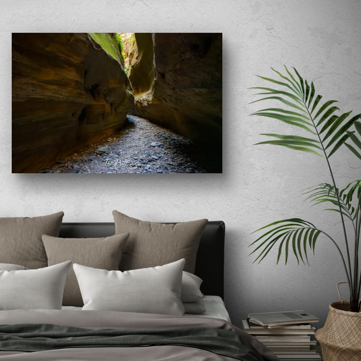 Boowinda Gorge, Carnarvon Gorge
