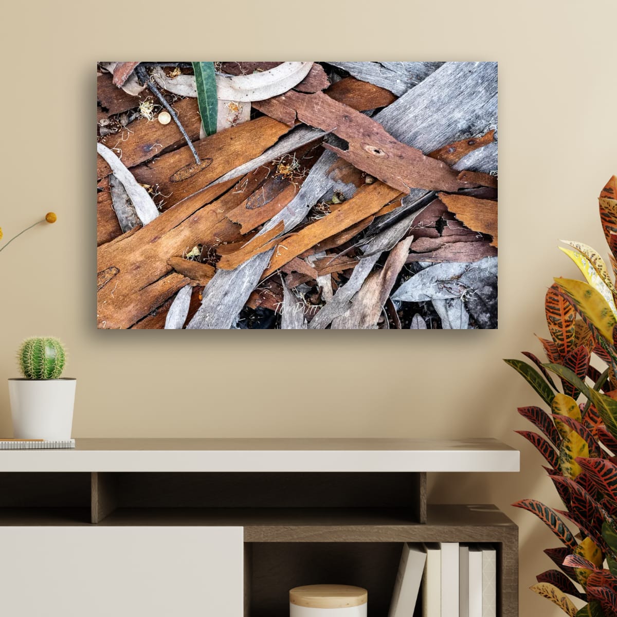 Woven Forest Floor, Carnarvon Gorge