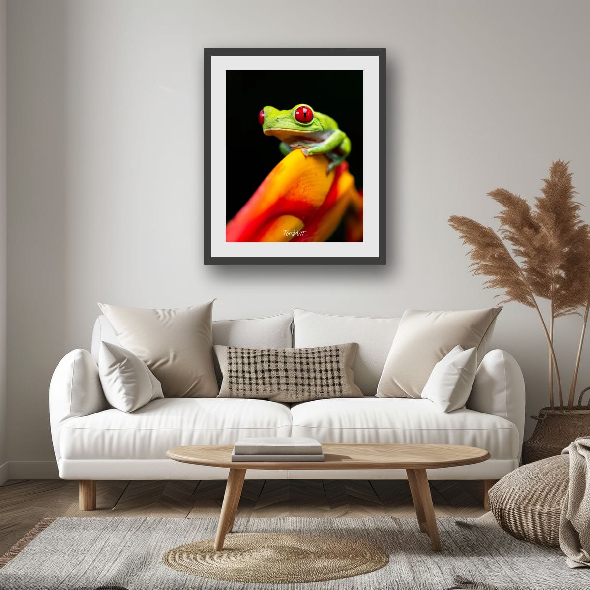 Red-eyed Tree Frog, Costa Rica