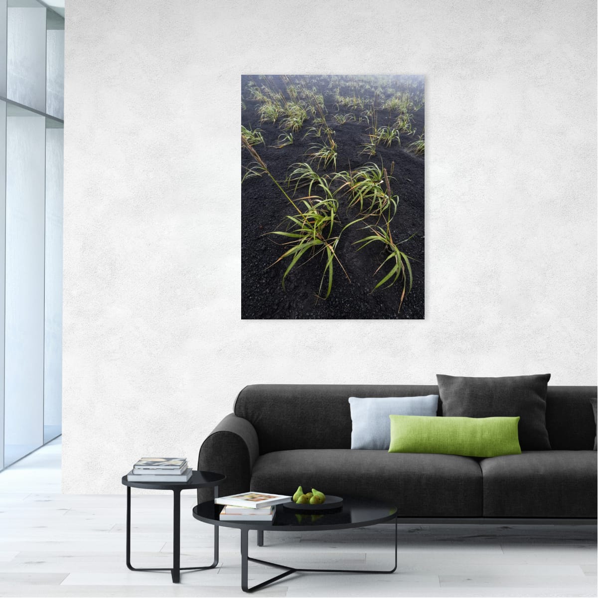 Embergrass