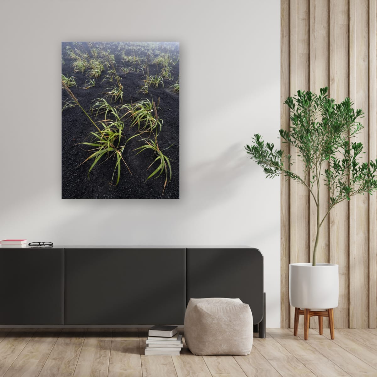 Embergrass