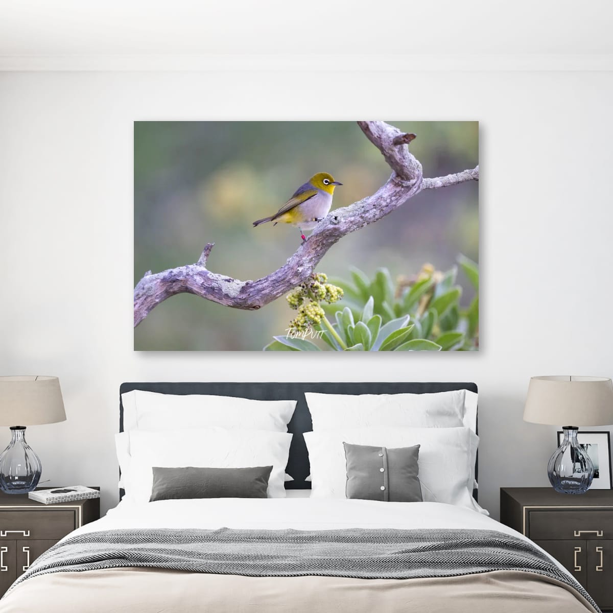 Heron Island Delight