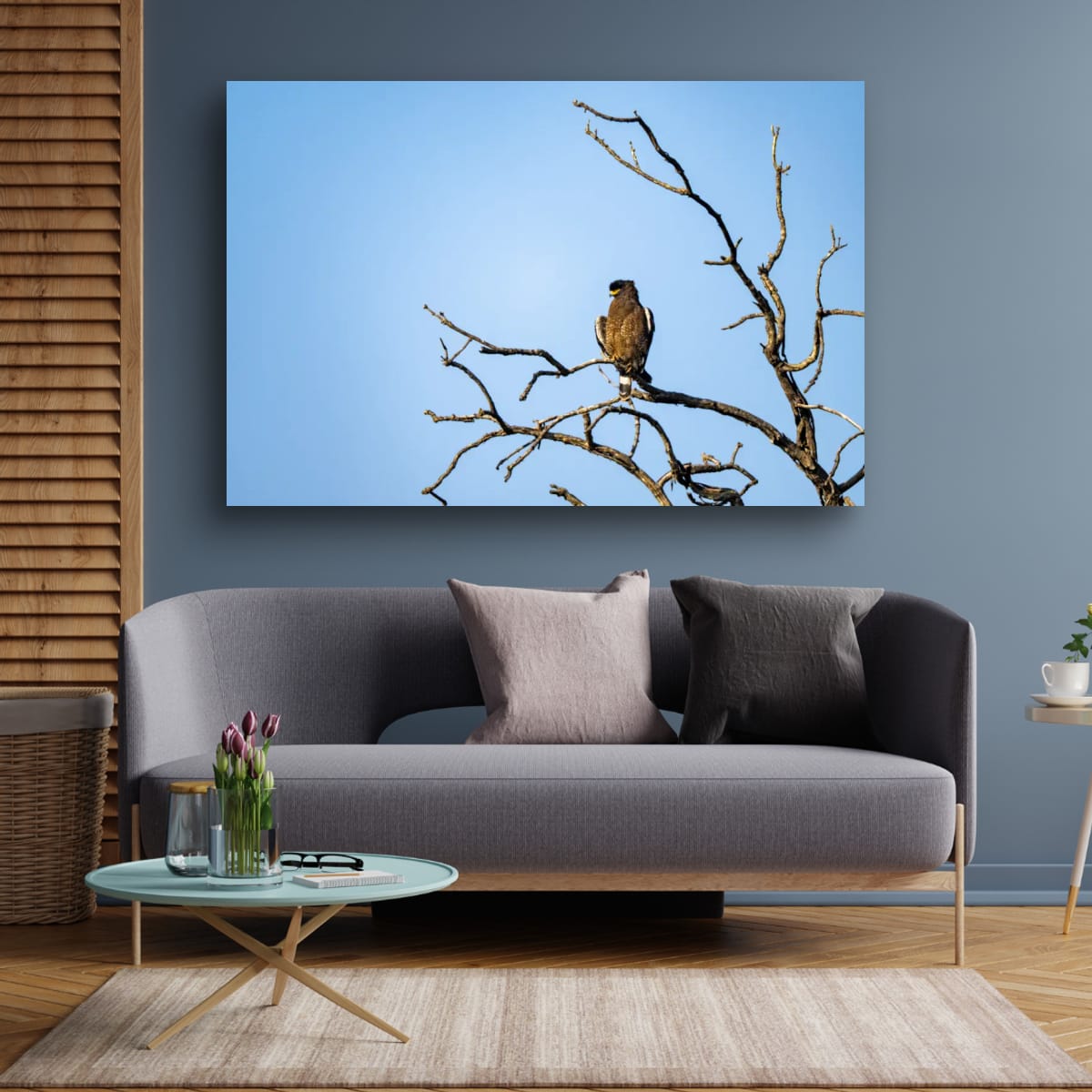 Indian Spotted Eagle