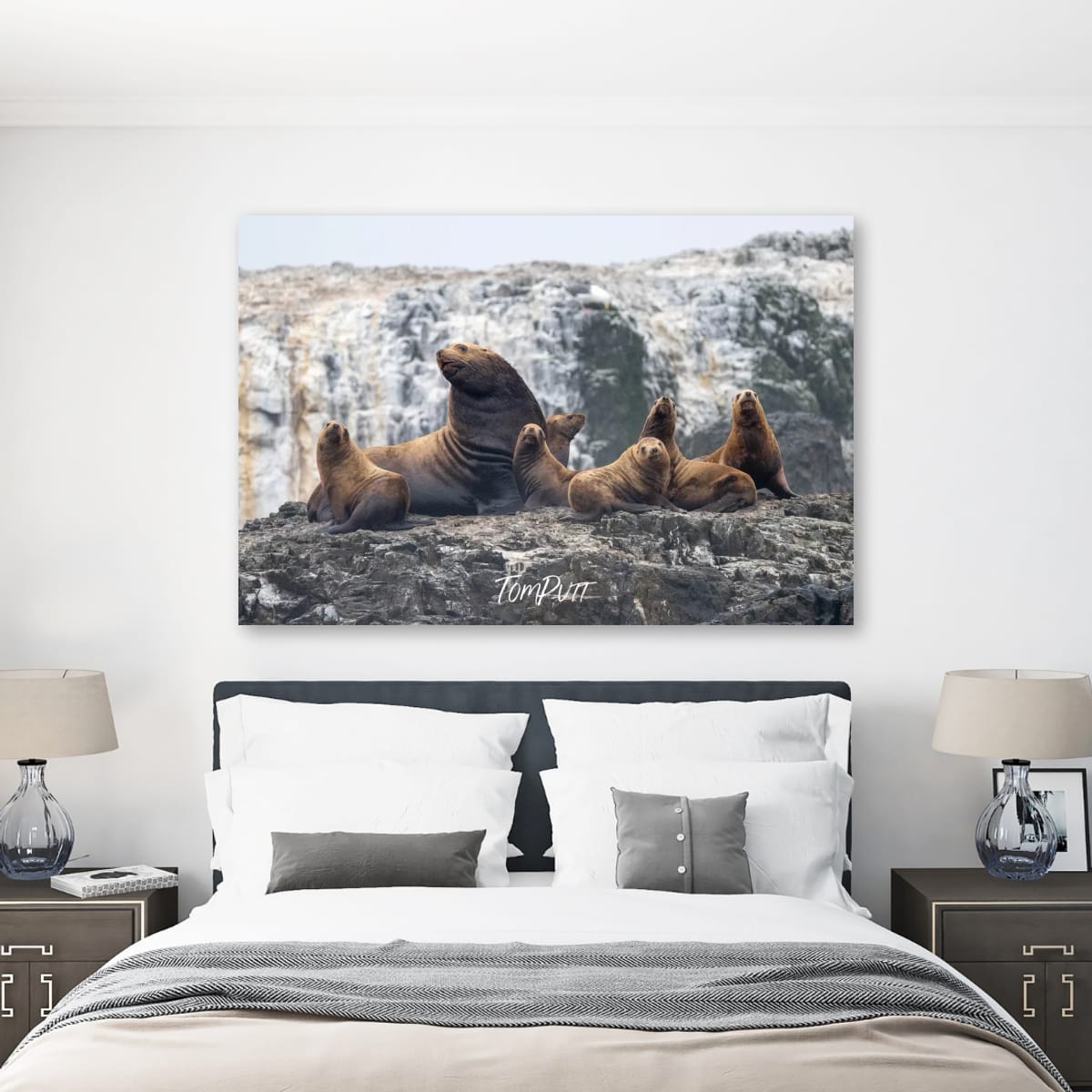 Family Portrait: Sea Lion