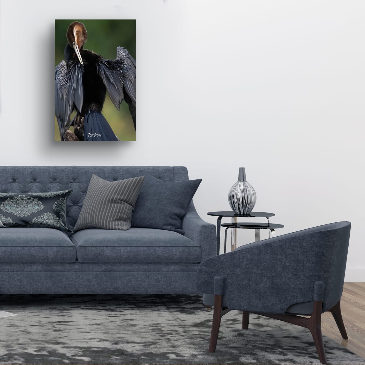 Majestic African Darter