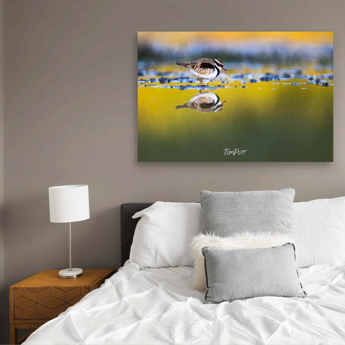 Quiet Reflection. Black-Fronted Dotterel