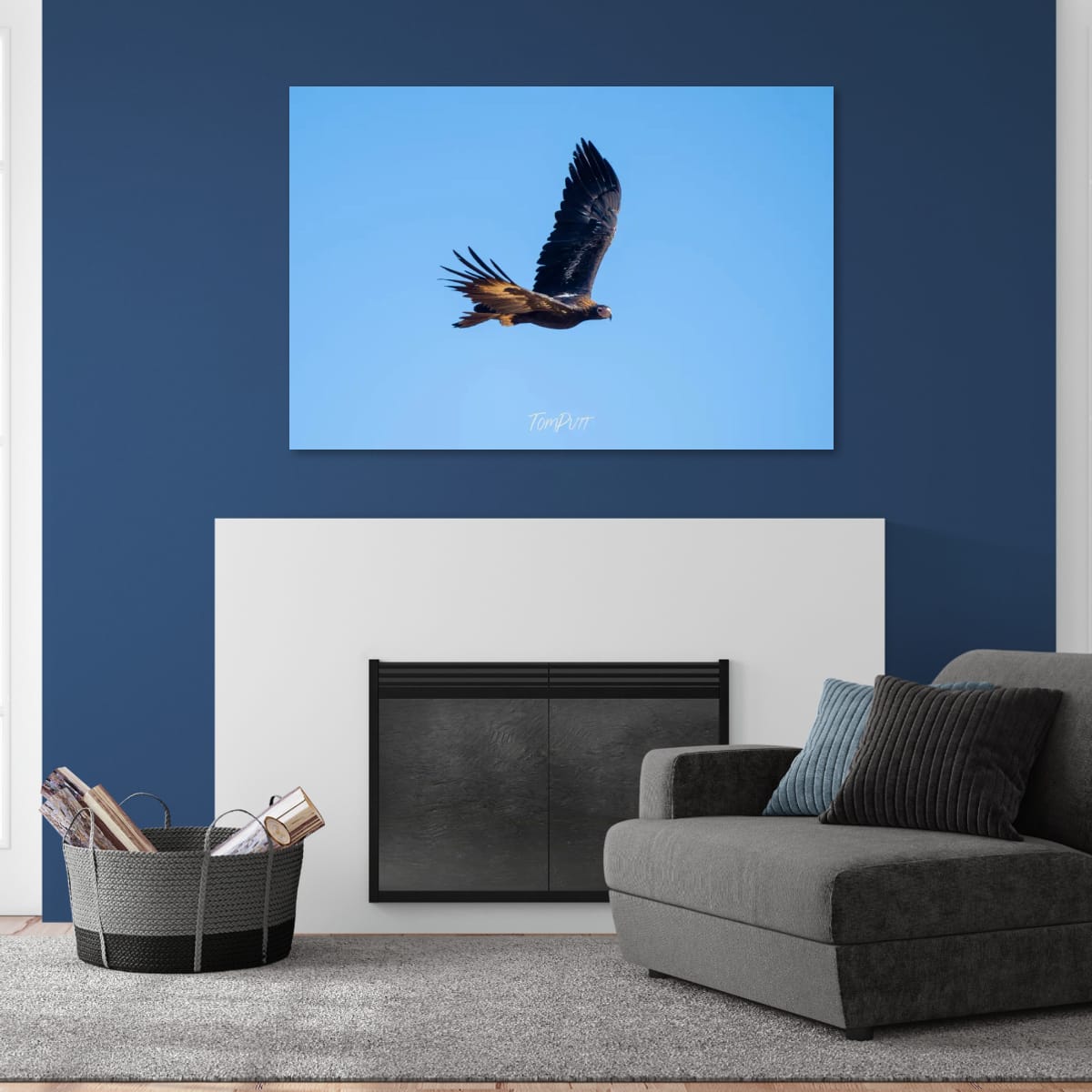 Wedge-Tailed Eagle in Flight