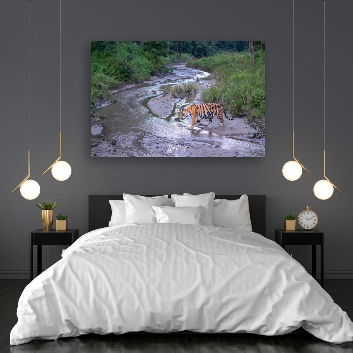 Tiger Crossing, India