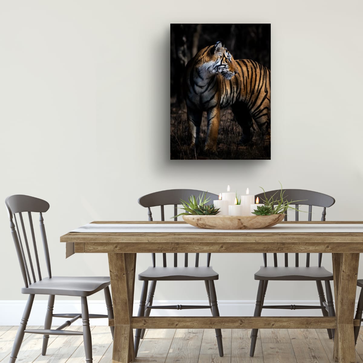 Stripes in the Shadows, India